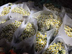 -循礼门鲜花花市(武汉循礼门店)