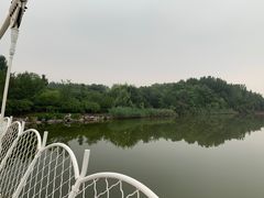 -塘沽森林公园