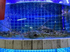 -牛天下·牛肉·海鲜·打边炉·融合菜