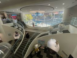 -MINI MARS KIDS CLUB亲子家庭中心(杨浦黄兴店)