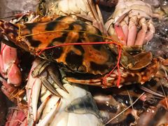 -芭提雅Amporn Seafood自助餐厅