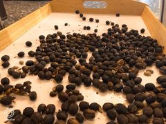 -sugarman espresso素饮糖人高新咖啡工厂
