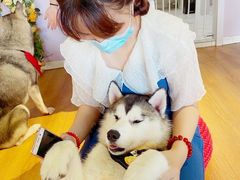 -Husky Go! 哈士奇体验馆·宠物咖啡厅狗咖