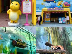 -海合安成都极地海洋公园