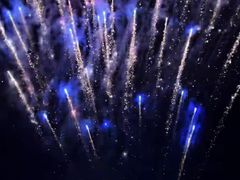 -大地红烟花爆竹经营部