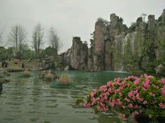 -秀丽东方