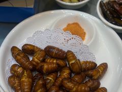 -鑫正兴东北烧烤(滨湖店)