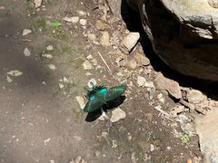 -龙门涧景区