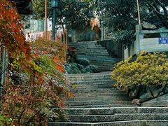 -十里琅珰