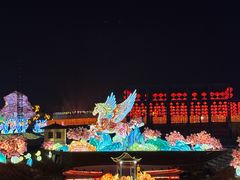 -淄博花灯齐彩城