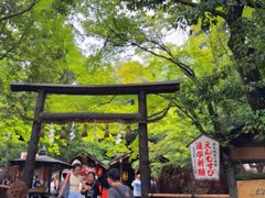 -野宫神社