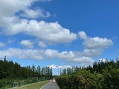 -前小桔亲子创意农场·草莓采摘·露营烧烤