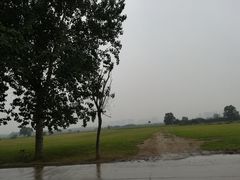 -汉长安城未央宫国家考古遗址公园