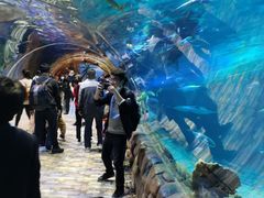 -华夏文旅海洋公园