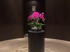 -当米亚诺意大利餐厅(武汉光谷凯悦酒店)