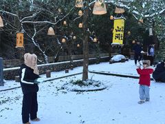 -宁波五龙潭景区