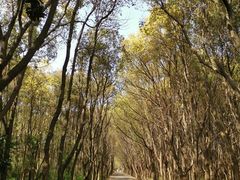 -同里国家湿地公园