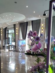 -深圳美莱医疗美容医院