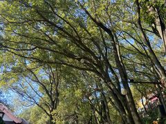 -狼山风景名胜区