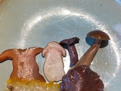 -菌自由丨野生菌火锅特色庭院餐厅(丽江古城店)