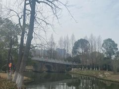 -洋湖国家湿地公园
