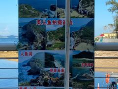 -杨梅坑