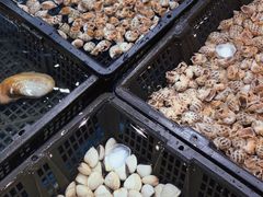 -天鲜阁·海鲜粤菜·33年老字号(石槎白云站店)