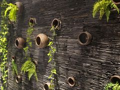 景观位-一只烧鸡公(解放碑店)