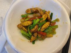 -有腥气私房菜·寻味顺德