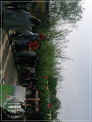 -上美四季动物农场