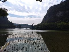 -星湖旅游景区七星岩