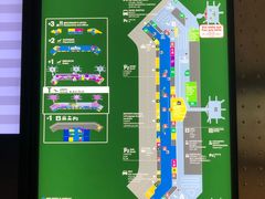 -米兰马尔彭萨国际机场