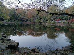 -灵谷景区