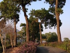 iphone_upload_pic-东部华侨城
