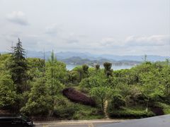 -浔味·山屿湖·正宗全鱼宴老字号