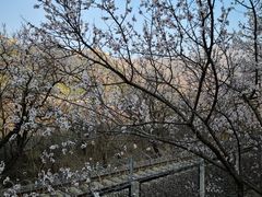 -居庸关长城