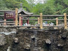 -王顺山国家森林公园