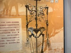 -天津自然博物馆