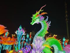 -花博汇(知音花月夜)