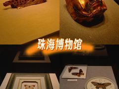 -珠海市博物馆