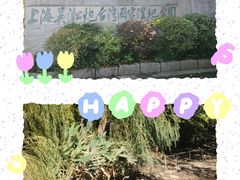 -上海吴淞炮台湾国家湿地公园