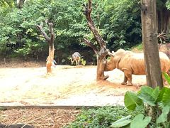 -广州长隆野生动物世界