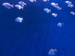 -沈阳海洋探索中心