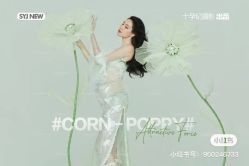 点击看大图 -十孕纪高端孕妇亲子摄影