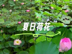 -沐仙湖湿地公园