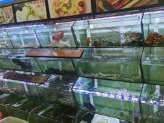 -林记海鲜排档·十年海鲜地标