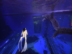 -成都浩海立方海洋公园