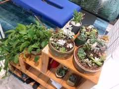 -SAH健身私教工作室(紫东店)