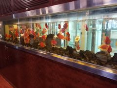 -绮梦西湖·云端餐厅(歌德店)