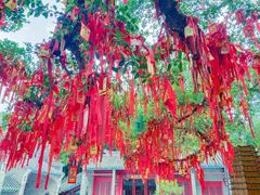 -国恩寺